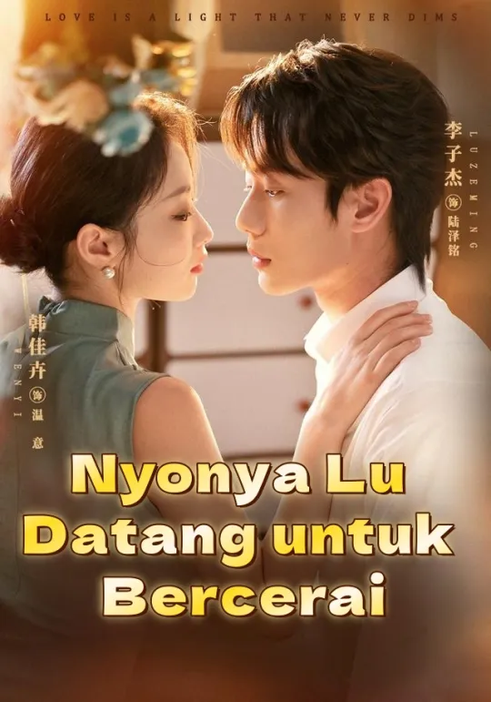 Nyonya Lu Datang untuk Bercerai